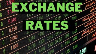 EXCHANGE RATES  MATHS LITERACY [upl. by Terrena609]