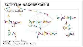 3 11 ecthyma gangrenosum mp4  Dermatology [upl. by Lipfert]