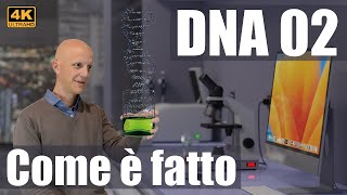 DNA 02 Come è fatto Struttura del DNA e modello 3D animato 4K UHD [upl. by Drol215]