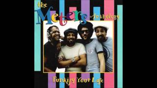 The Meters  Be My Lady [upl. by Slosberg]