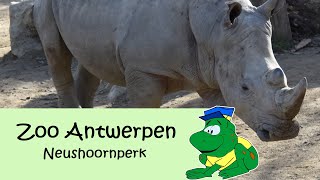 Zoo Antwerpen neushoornperk [upl. by Terza511]