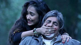 Nishabd Movie story and facts  Jiah Khan  Amitabh Bachchan [upl. by Anenahs846]