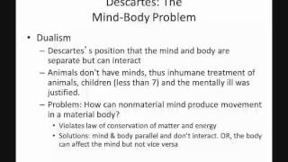 Development Neuropsychology hisory default [upl. by Hsizan]