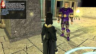 Lets Play Neverwinter Nights 014 Hall of Justice [upl. by Rori]