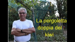 La pergoletta doppia del kiwi [upl. by Amling368]