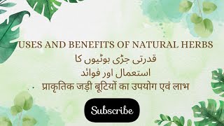 Uses And Benefits Of Natural Herbs [upl. by Eillil972]