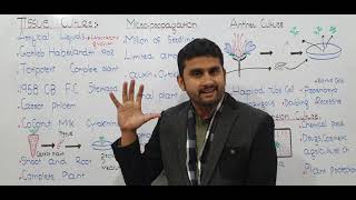 Ch23 Lec14 Tissue Culture UrduHindi Lecture Fsc MDCAT NUMS Preparation By M Bilal Chaudhary [upl. by Chita]