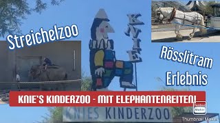 Zürich Ausflug  Ein Tag in Knies Kinderzoo in Rapperswil [upl. by Shurwood]