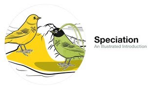 Speciation An Illustrated Introduction [upl. by Noicpesnoc]