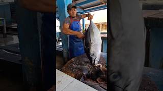 Another way to cut tuna shorts food tunafishcutting fishcutting ajibnariman fish seafood [upl. by Norry205]