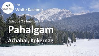 WHITE KASHMIR TRIP  Episode2  PAHALGAM  Achabal  Kokernag [upl. by Naic]