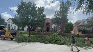 JP Tree Services in Dallas  Dallas Arborist  Tree Removal in Dallas [upl. by Assenat]