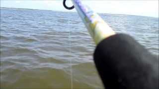 Big Game Solo Kayak Fishing Tarpon and Shark [upl. by Airda]