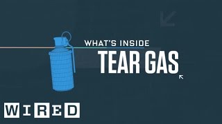 What’s Inside A Can of Tear Gas  WIRED [upl. by Erodeht325]