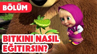 Maşa İle Koca Ayı 🪴 Bitkini nasıl eğitirsin 😋 Bölüm 99 Yeni bölüm 2024💥🎬 [upl. by Kirre]