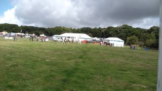 17th August 2014 Mottram Show Ridden Showing Class [upl. by Alusru]