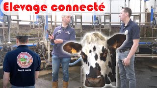 Visite dun élevage connecté en race Normande CoFarmingTour [upl. by Oicam]