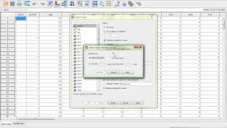 Random Sample in SPSS [upl. by Lyrret]