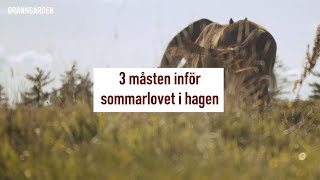 ALLT DU BEHÖVER VETA INFÖR DIN HÄSTS SOMMARLOV I HAGEN [upl. by Hpejsoj]