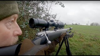 The Shooting Show  Stalking Chinese Water Deer [upl. by Atrebla870]