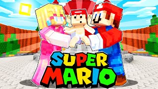 Mario Family REUNITED  Minecraft Super Mario  170 [upl. by Dimitry]