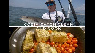 COBIA CATCH CLEAN and COOK Ft How to Fillet Cobia [upl. by Arraik]