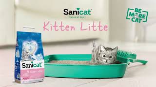 Sanicat Kitten Litter [upl. by Hermia]