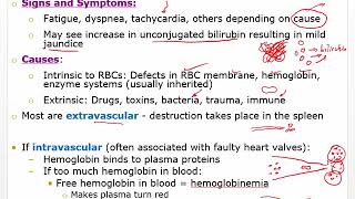 Ch 21 Hematologic Anemia Leukemia and Clotting disorders [upl. by Aloysius281]