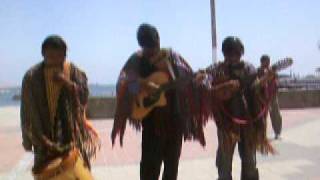 Musica Peruana em Paracas [upl. by Ennaoj]