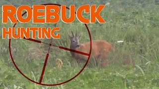 HUNTING ROE BUCK in France  Chasse au Brocard Cheuvreuil en France  2014 [upl. by Enomrej409]