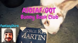 Bunny Book Club Episode 2 ASOIAF Clash of Kings Game of Thrones [upl. by Belcher]