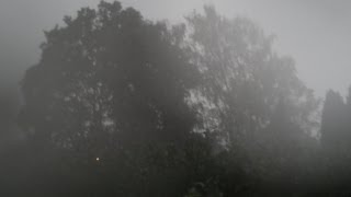 TYPHOON PABUK Hits Portland  Wind amp Rain STORM Caught On Camera 9282013 [upl. by Sontich]