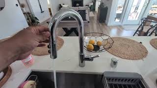 Pfister Stellen Touchless Kitchen Faucet with Pull Down Sprayer Review [upl. by Ecnerret]