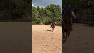 Dia de treino cavalomarchador cavalos horse ranchsorting cavalo treinamento boi fazenda [upl. by Aldus]