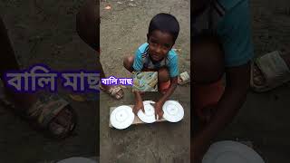 মাছের নামshortsviral shortsfeed shorts short shortvideo shortsyoutube [upl. by Herc]