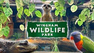 WINGHAM Wildlife Park Full Walkthrough Tour 2024 [upl. by Oneladgam908]