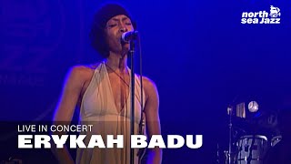 Erykah Badu  Green Eyes HD  North Sea Jazz 2001 [upl. by Eednam]