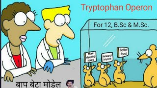 Repressor operon Enzyme represson [upl. by Grussing]