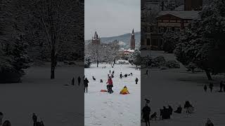 Rodeln im Weinheimer Schloßpark [upl. by Mohsen]