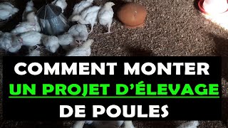 COMMENT MONTER UN PROJET DÉLEVAGE DES POULES [upl. by Nasho]