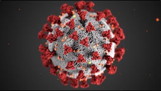 WHAT IF Covid 19 and Ebola combined into one super virus ebolavirus ebola covid19 [upl. by Atirehgram464]