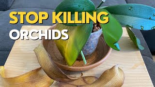 Stop Killing Your ORCHIDS  Orchid Leaves Turning Yellow [upl. by Aihsirt]