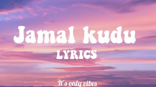 Jamal Kudu abrars entry song lyrics  Its only vibes [upl. by Kcirddahc]