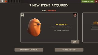 POOTIS BIRD AQUIRED [upl. by Dewar552]