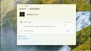 How To Fix Windows 11 Activation Issues [upl. by Oiligriv]