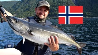 Wyprawa wędkarska do Norwegii cz 1 Møre og Romsdal  Czarniaki makrele Fjord Fishing [upl. by Neirual964]