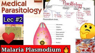 malaria plasmodium 🛑🛑🛑malaria plasmodium life cycle malaria plasmodium falciparum parasitology [upl. by Aihsotan]