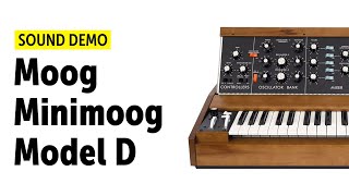 BuildaSynth  Minimoog Model D  Danz CM [upl. by Selhorst]