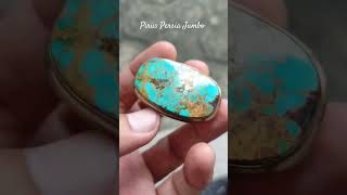 Pirus Persia pirus turquoise naturalturquoise pirusuratemas pirusgradasi piruspersia [upl. by Giffer522]