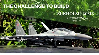 SUKHOI SU 30 MK 148 scale full build by Mini Hobby Models [upl. by Normandy]